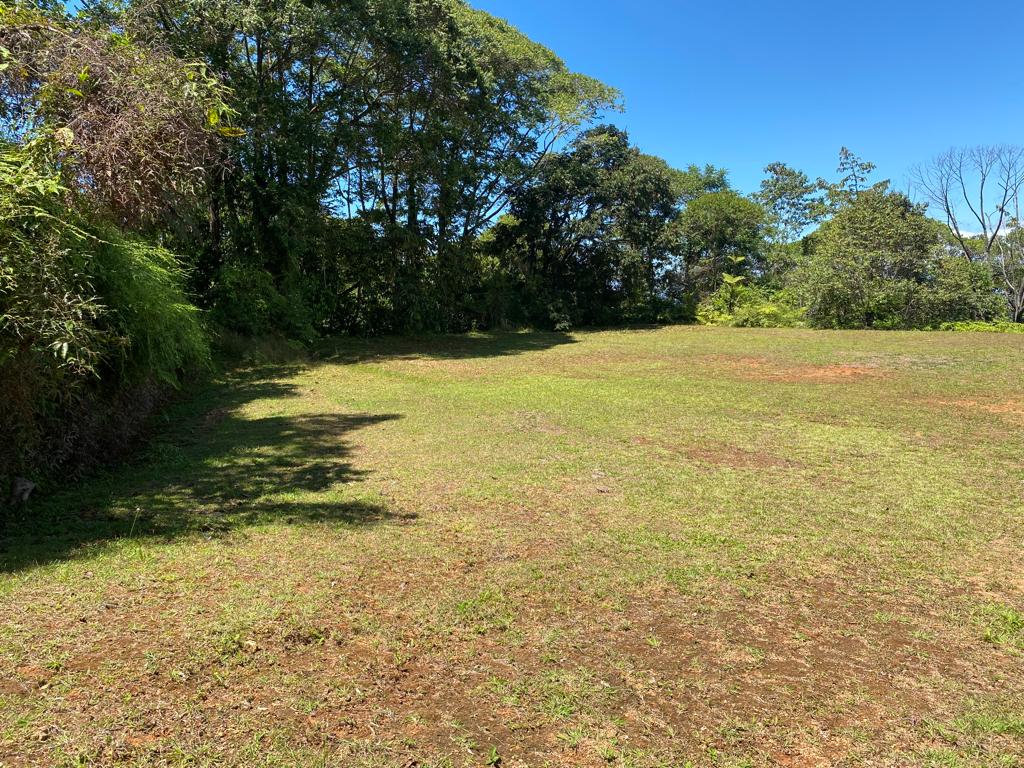 0 bed Land For Sale in Dominical, Puntarenas - thumb 8