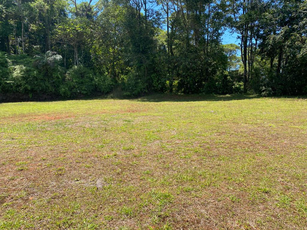 0 bed Land For Sale in Dominical, Puntarenas - thumb 4