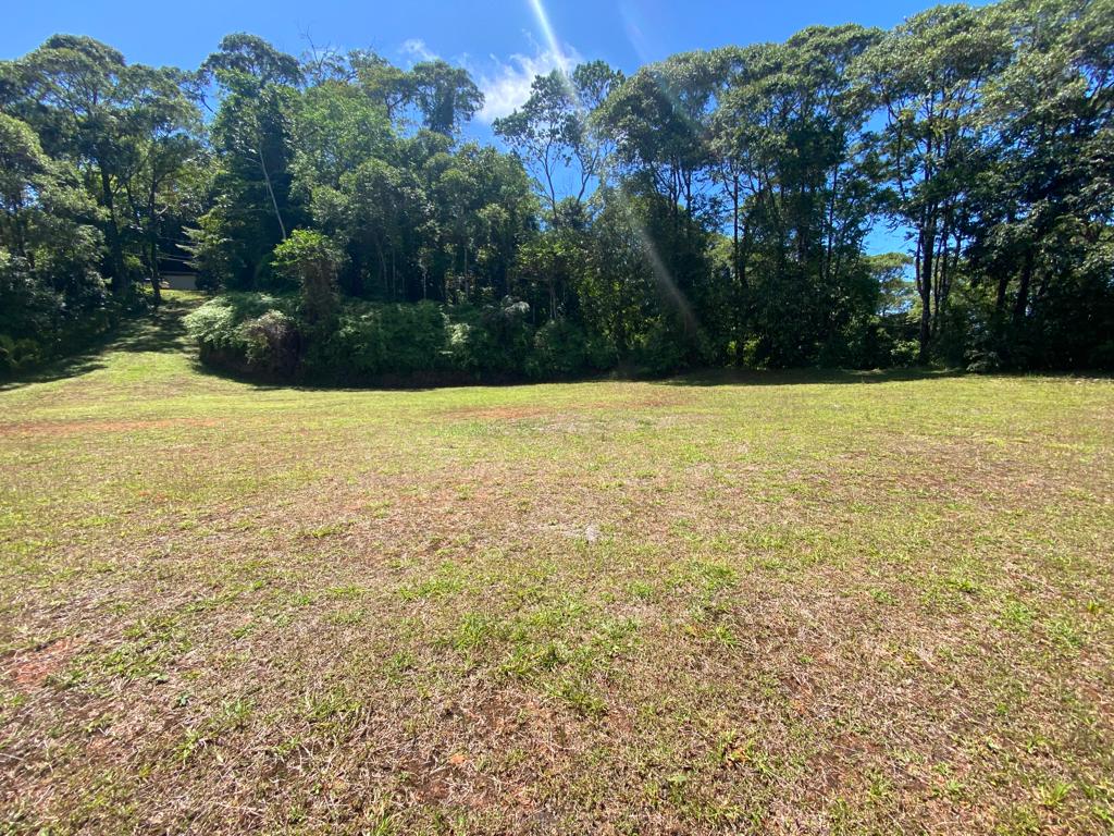 0 bed Land For Sale in Dominical, Puntarenas - thumb 5