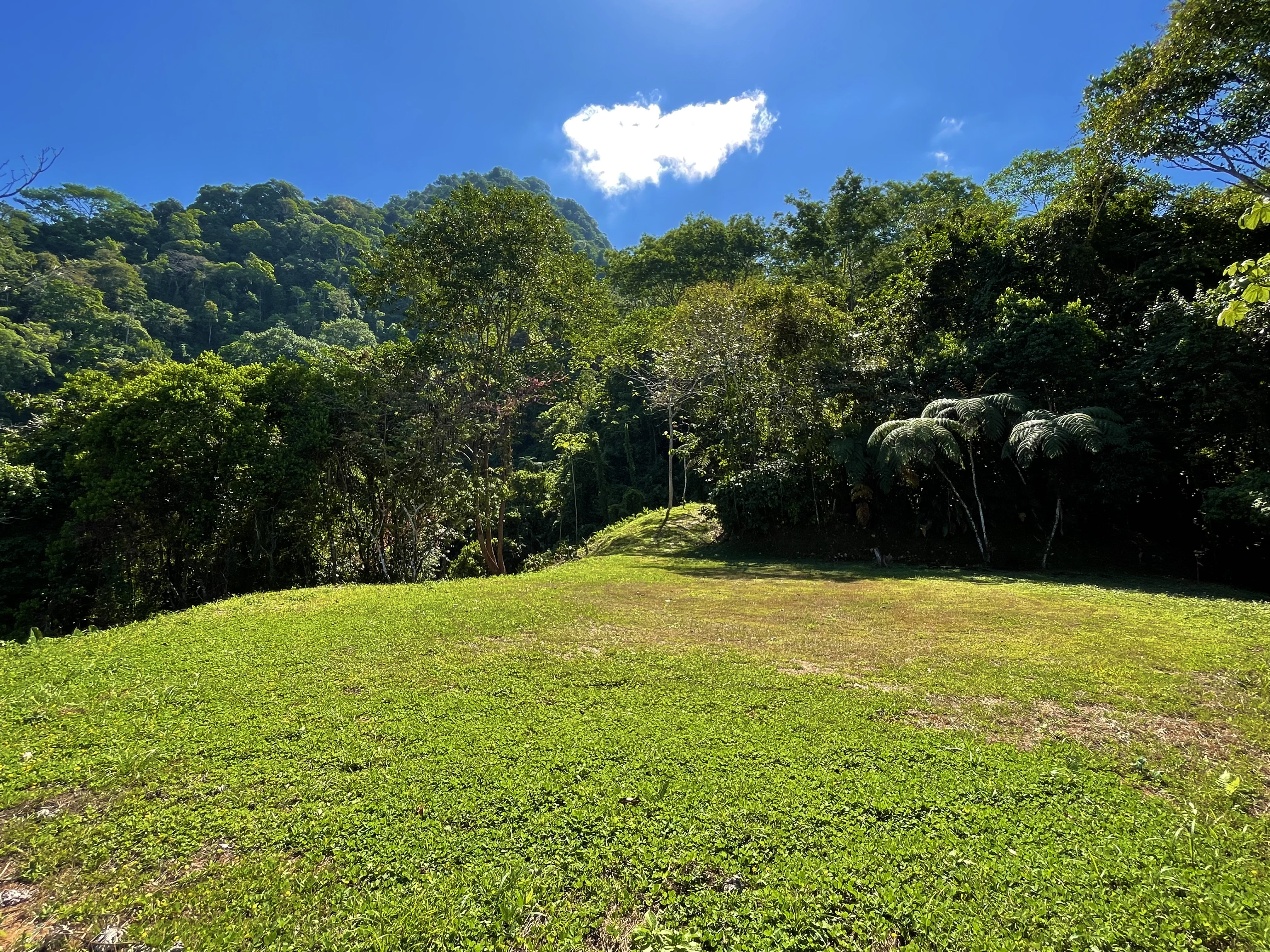 0 bed Land For Sale in Ojochal, Puntarenas - thumb 11