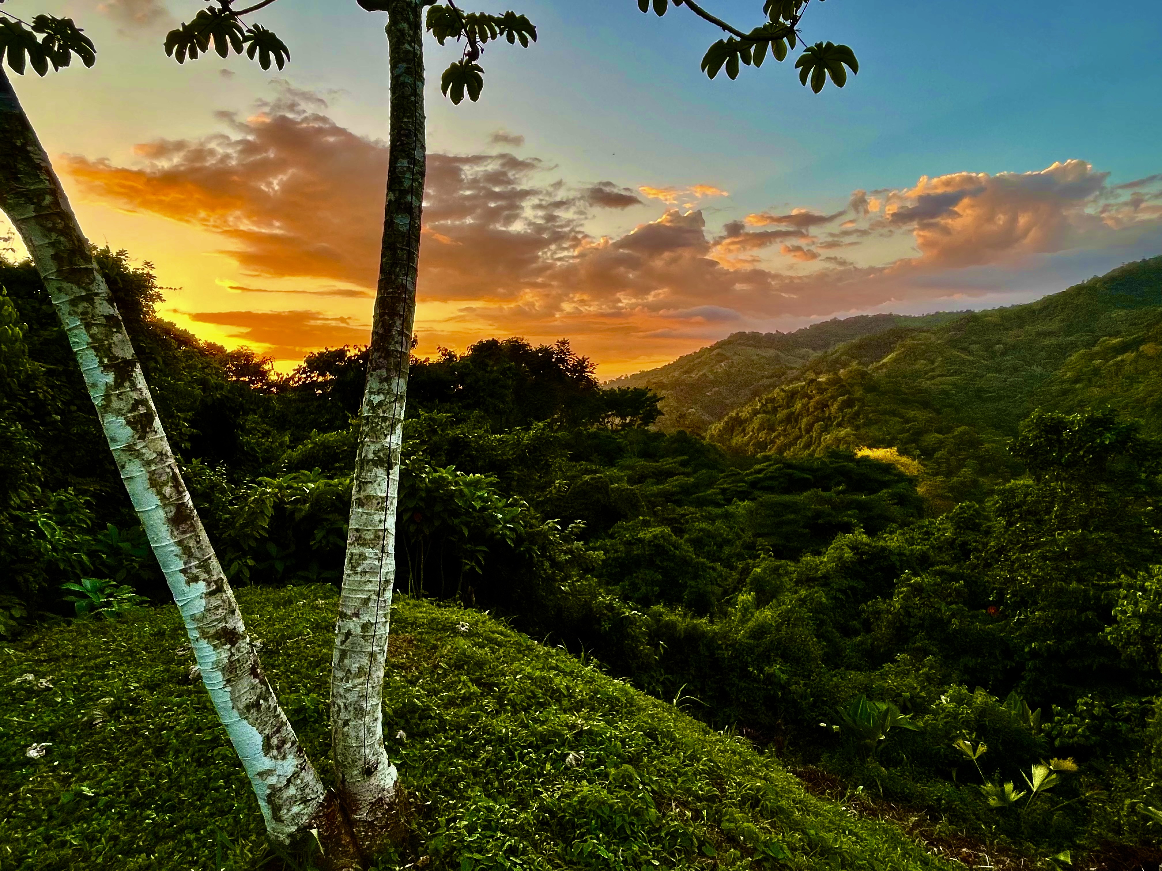 0 bed Land For Sale in Ojochal, Puntarenas - thumb 5