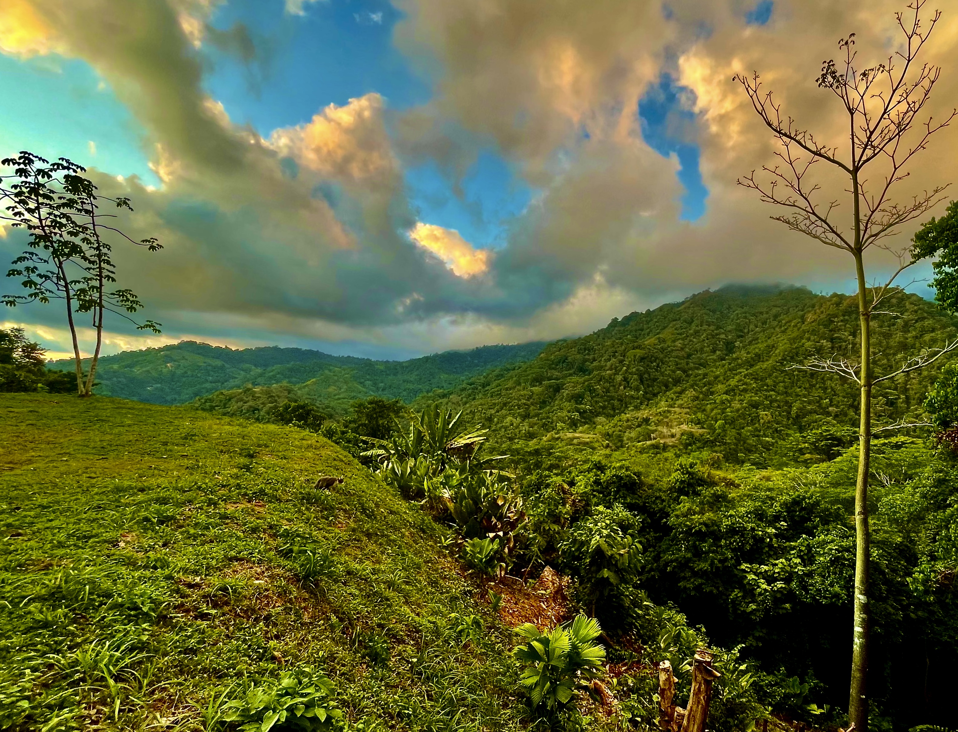 0 bed Land For Sale in Ojochal, Puntarenas - thumb 4