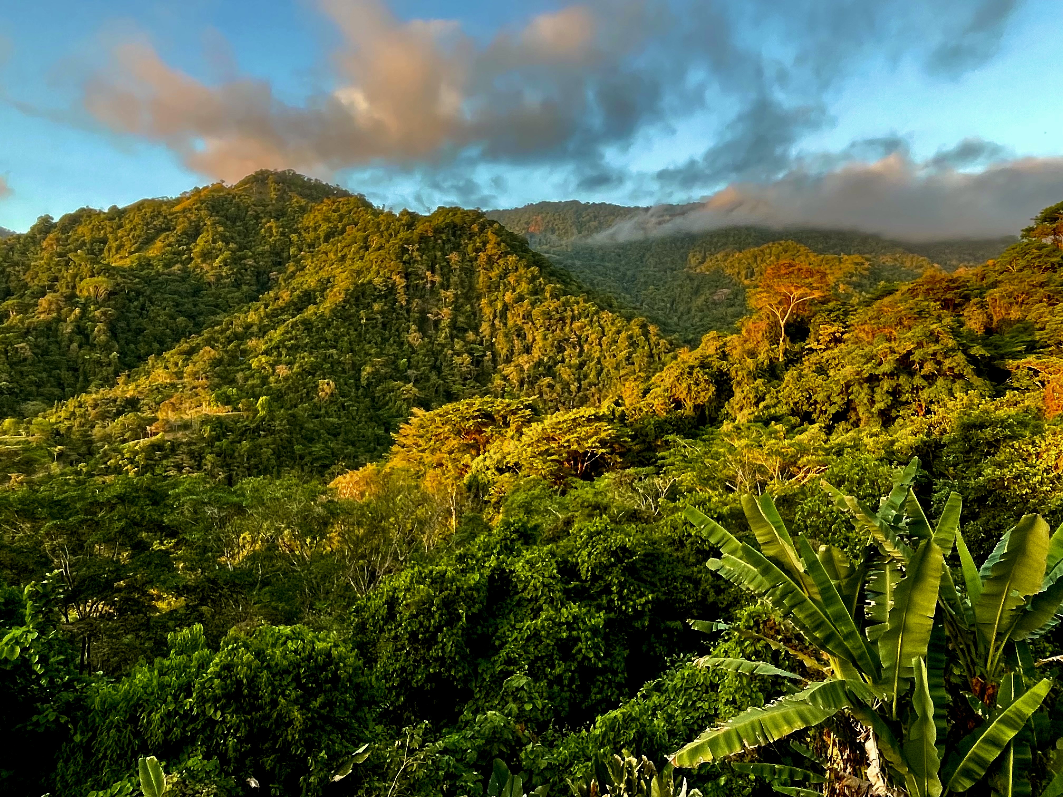 0 bed Land For Sale in Ojochal, Puntarenas - thumb 8