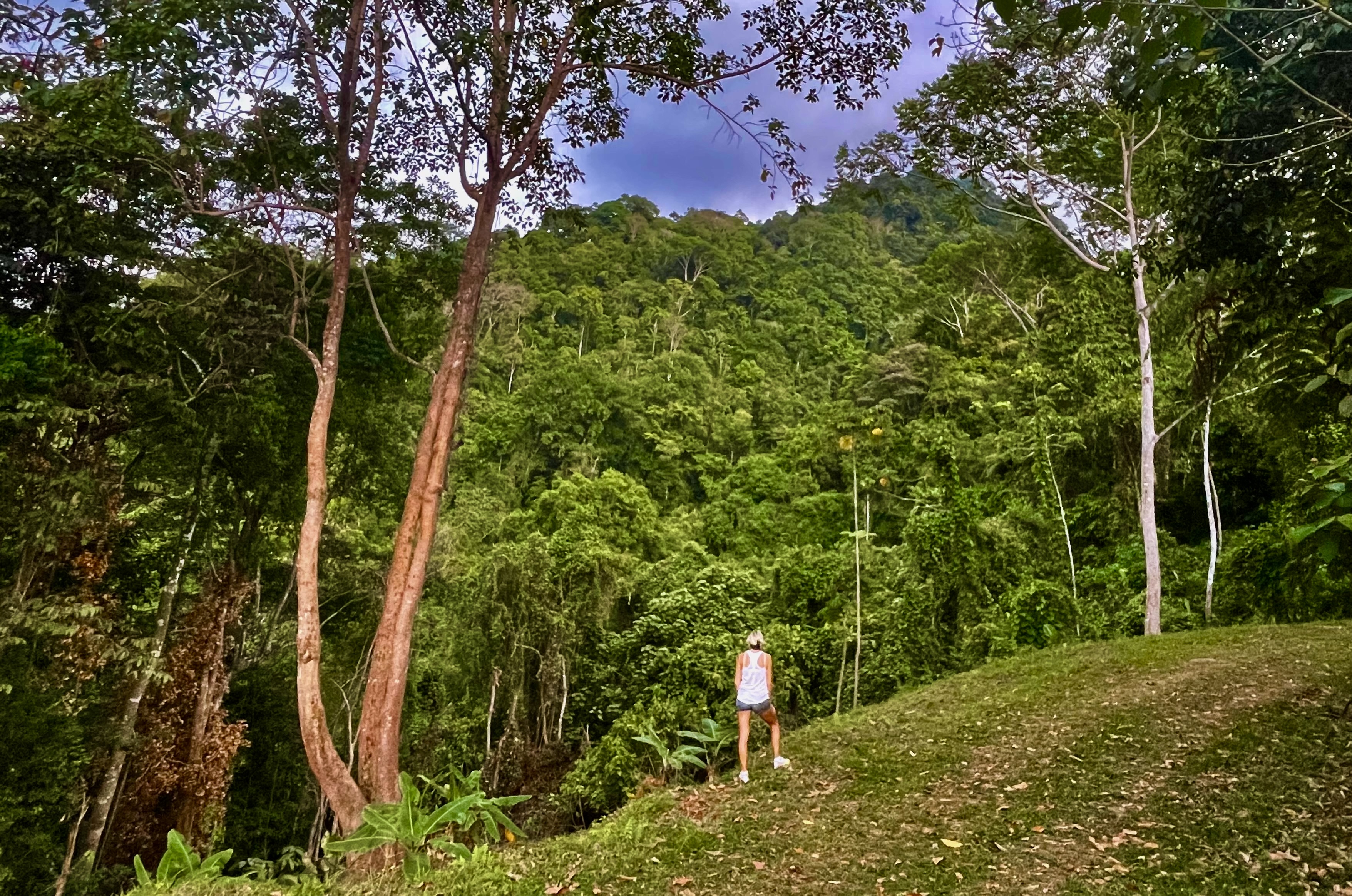 0 bed Land For Sale in Ojochal, Puntarenas - thumb 13