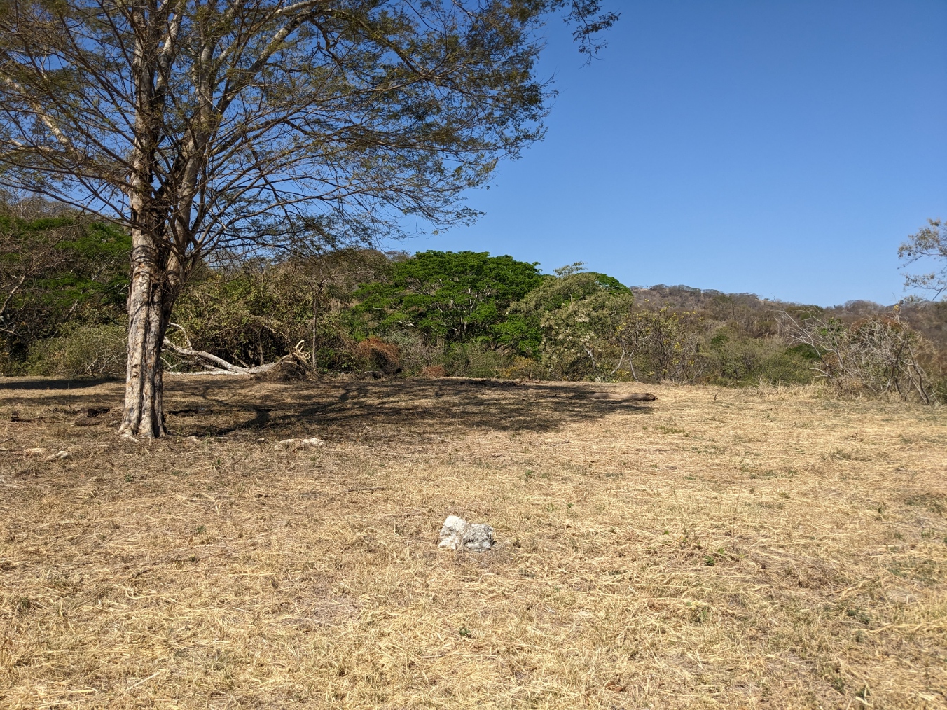 0 bed Land For Sale in Playa Blanca, Puntarenas - thumb 10