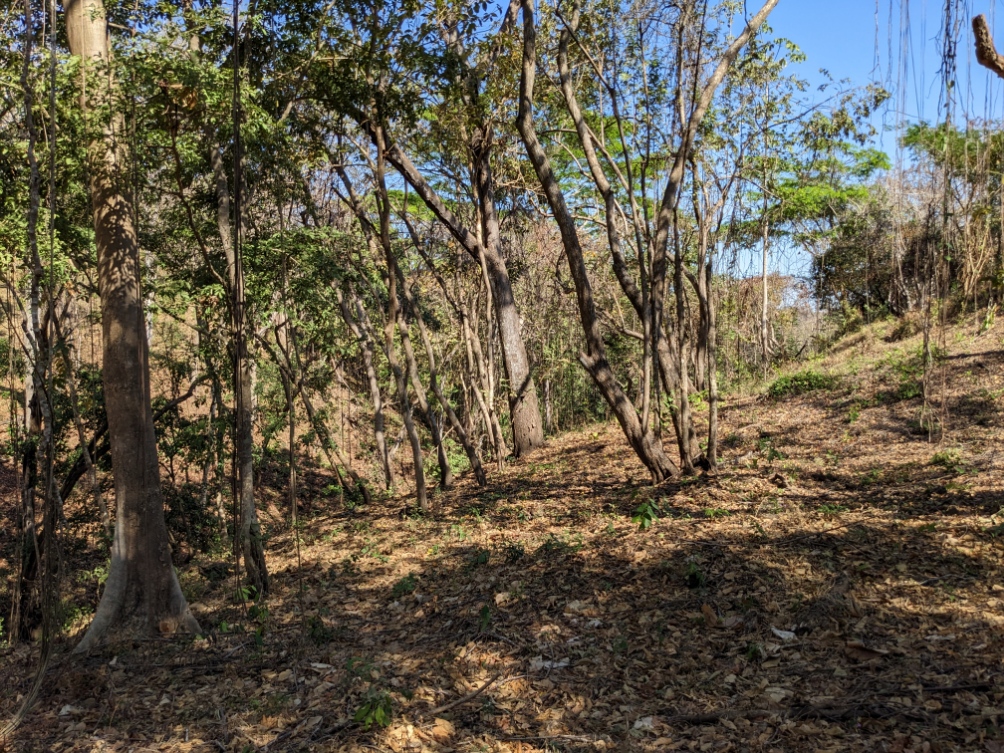 0 bed Land For Sale in Playa Blanca, Puntarenas - thumb 21