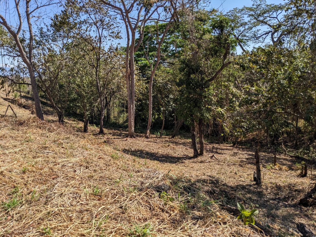 0 bed Land For Sale in Playa Blanca, Puntarenas - thumb 24