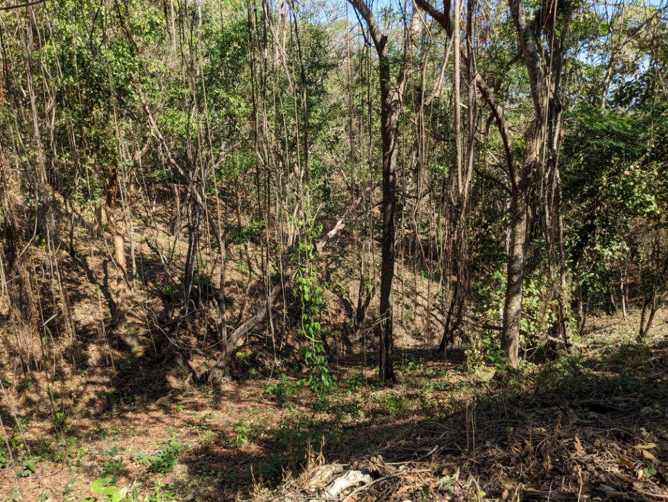 0 bed Land For Sale in Playa Blanca, Puntarenas - thumb 15