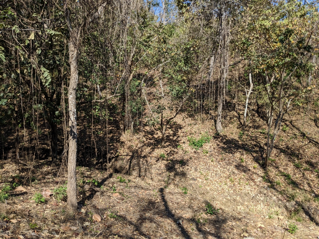 0 bed Land For Sale in Playa Blanca, Puntarenas - thumb 12