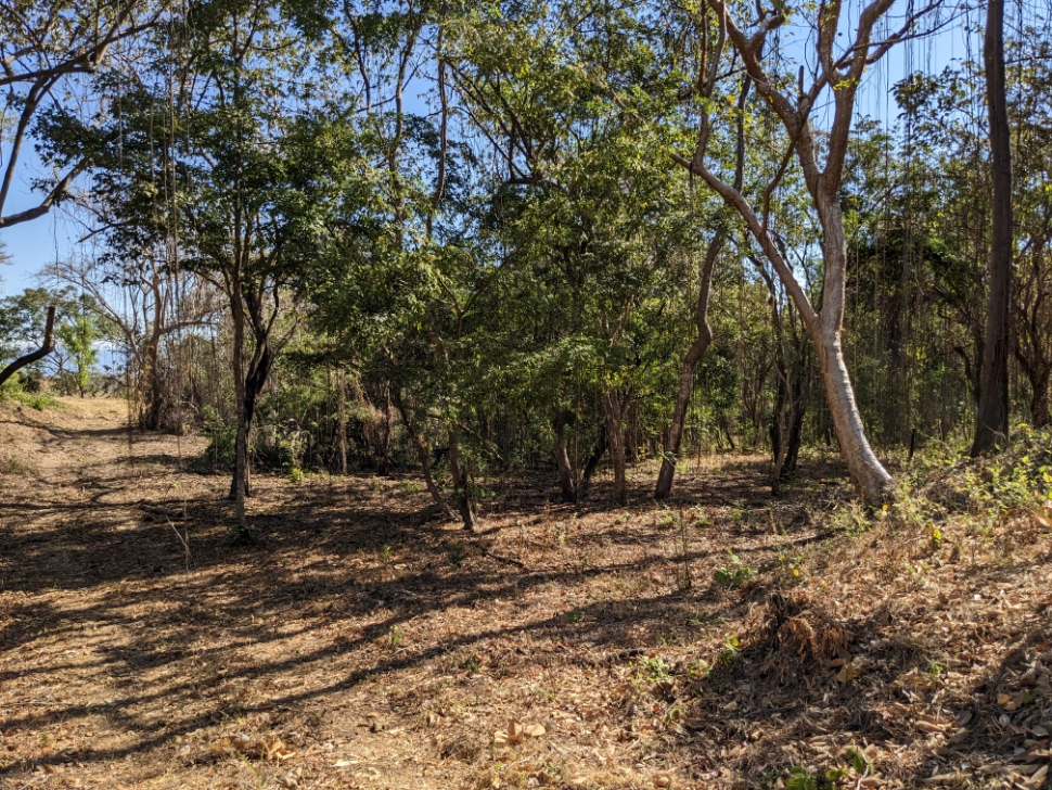 0 bed Land For Sale in Playa Blanca, Puntarenas - thumb 19