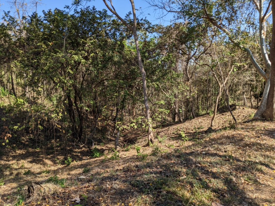 0 bed Land For Sale in Playa Blanca, Puntarenas - thumb 14