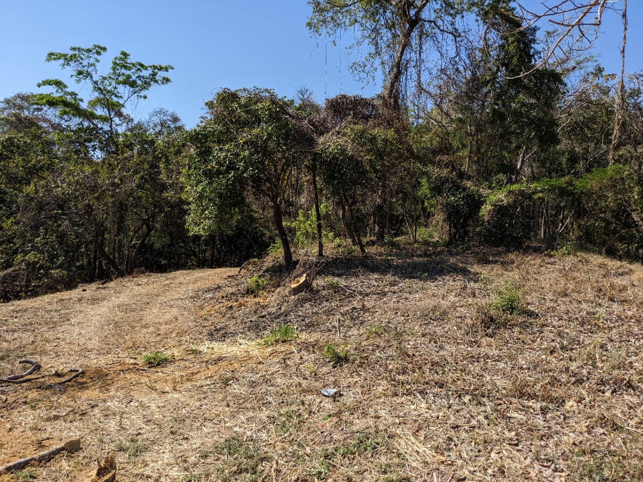 0 bed Land For Sale in Playa Blanca, Puntarenas - thumb 25