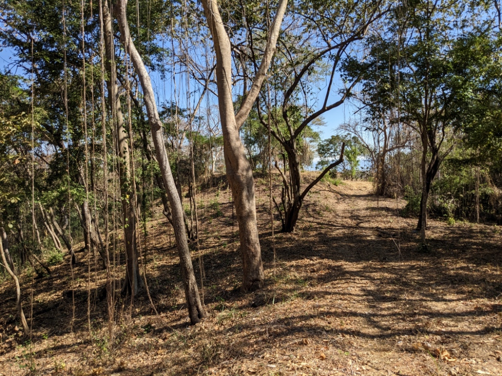0 bed Land For Sale in Playa Blanca, Puntarenas - thumb 20