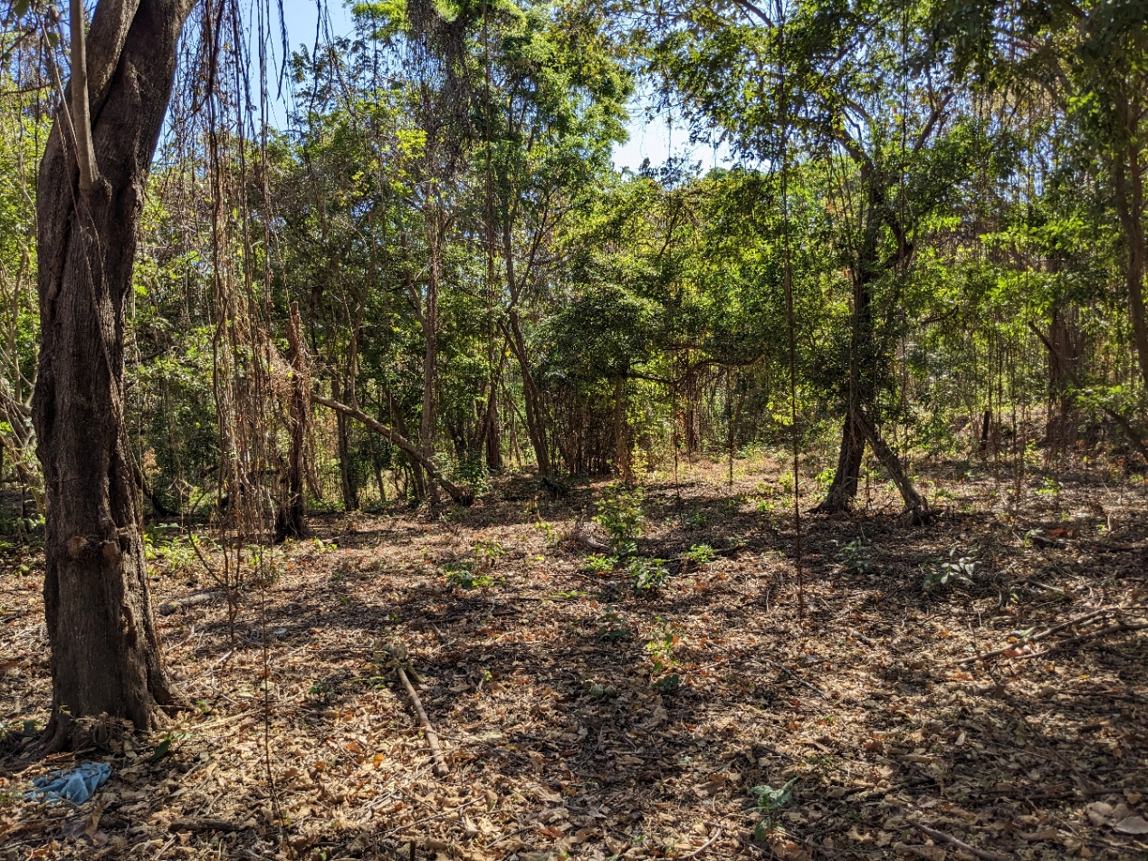 0 bed Land For Sale in Playa Blanca, Puntarenas - thumb 22