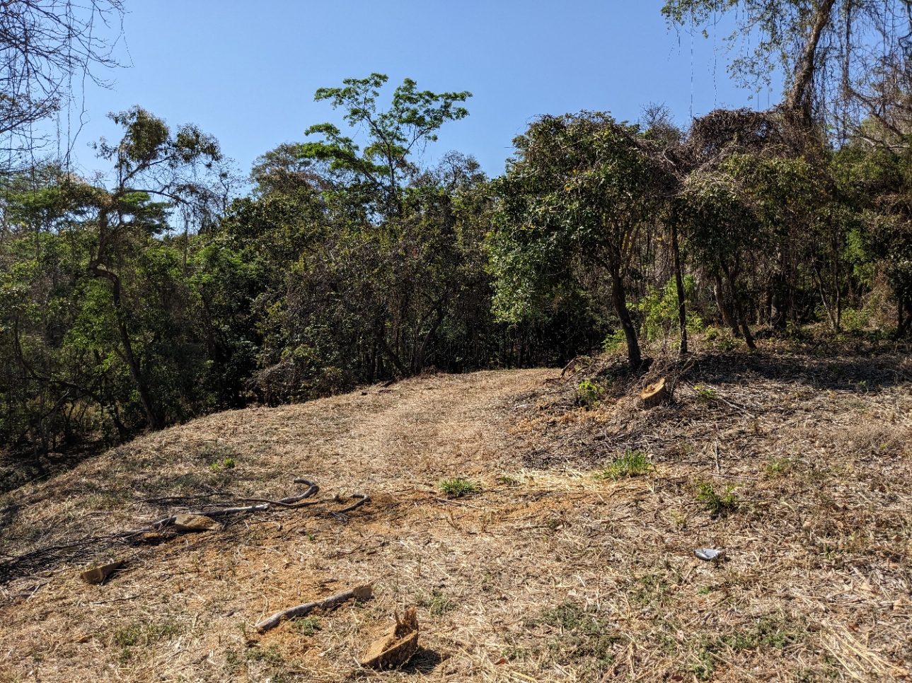 0 bed Land For Sale in Playa Blanca, Puntarenas - thumb 26