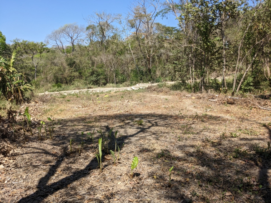0 bed Land For Sale in Playa Organos, Puntarenas - thumb 5