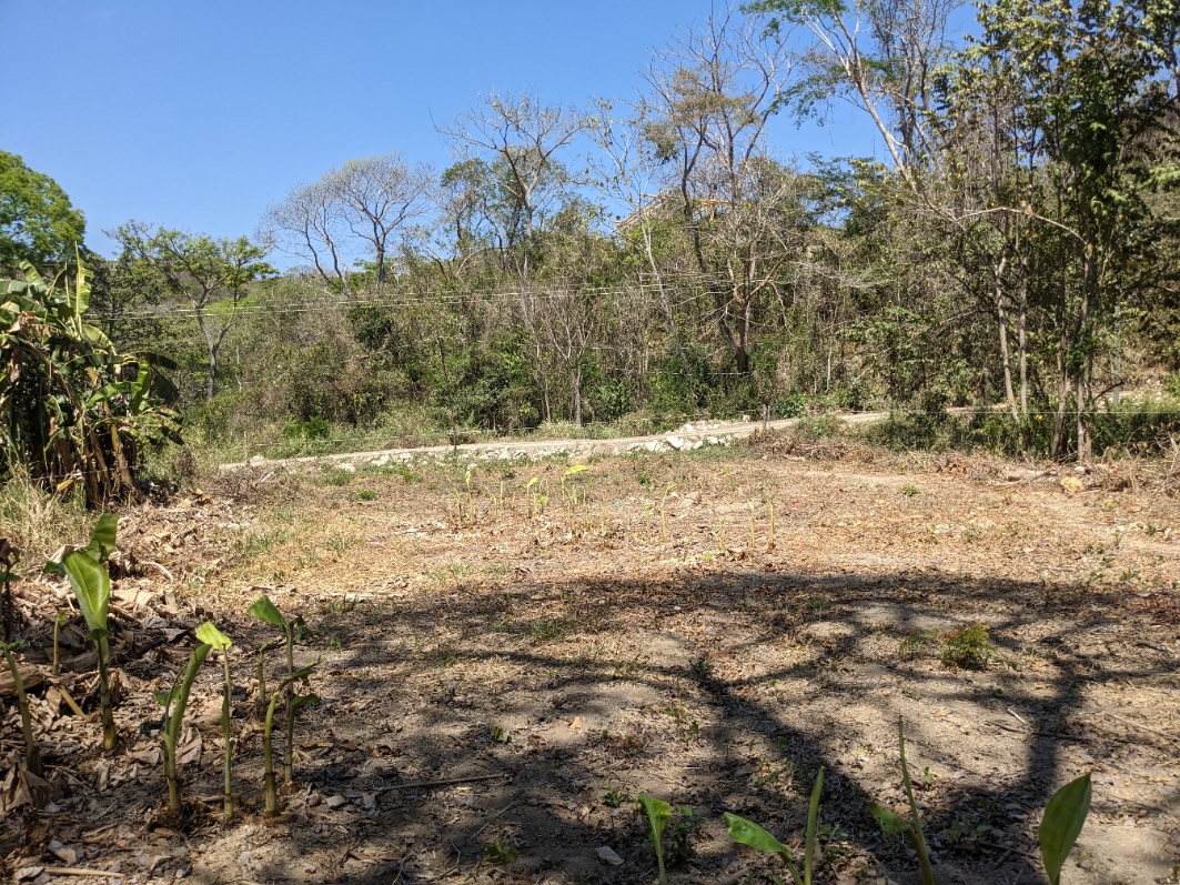 0 bed Land For Sale in Playa Organos, Puntarenas - thumb 6