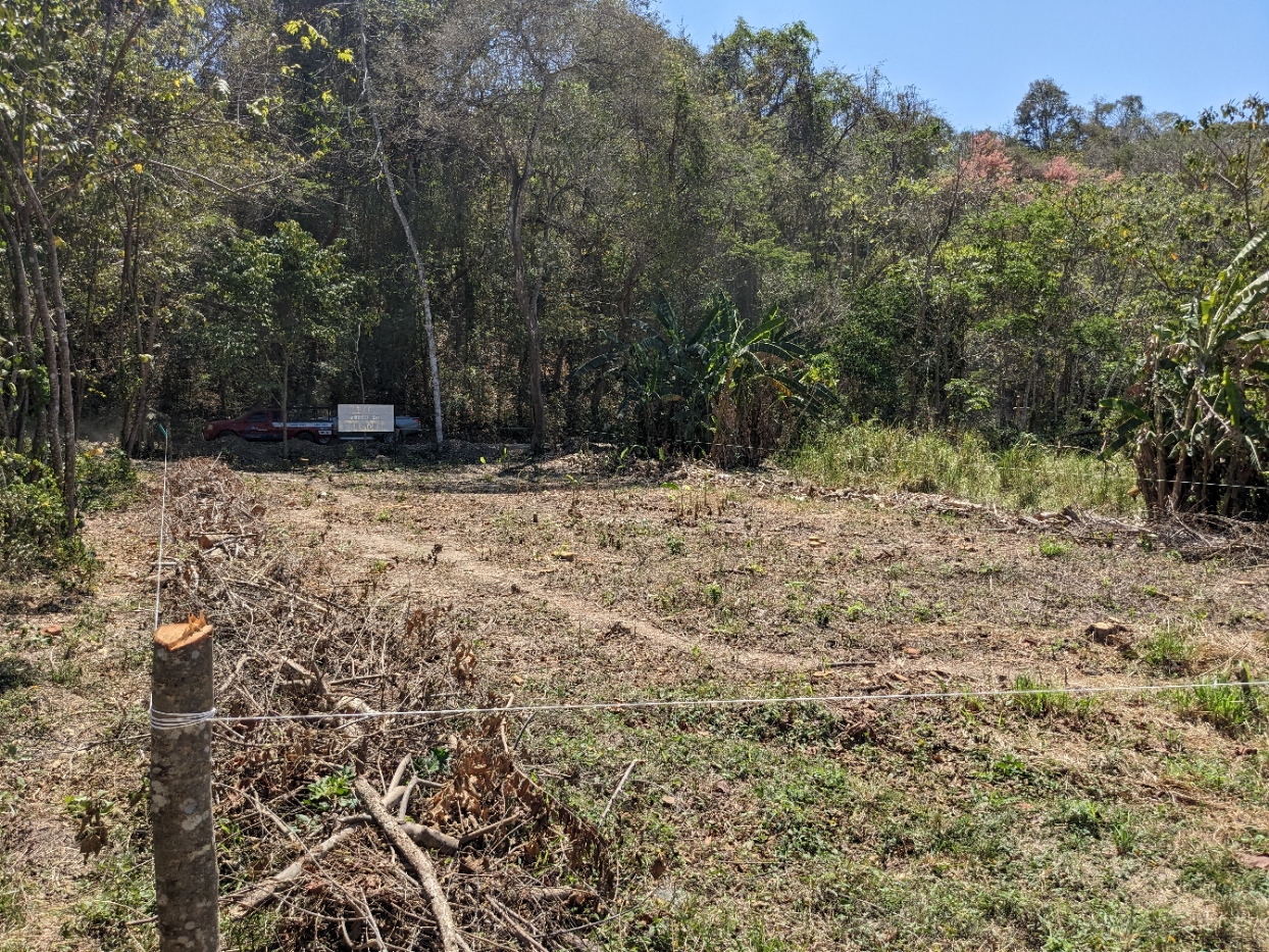 0 bed Land For Sale in Playa Organos, Puntarenas - thumb 9