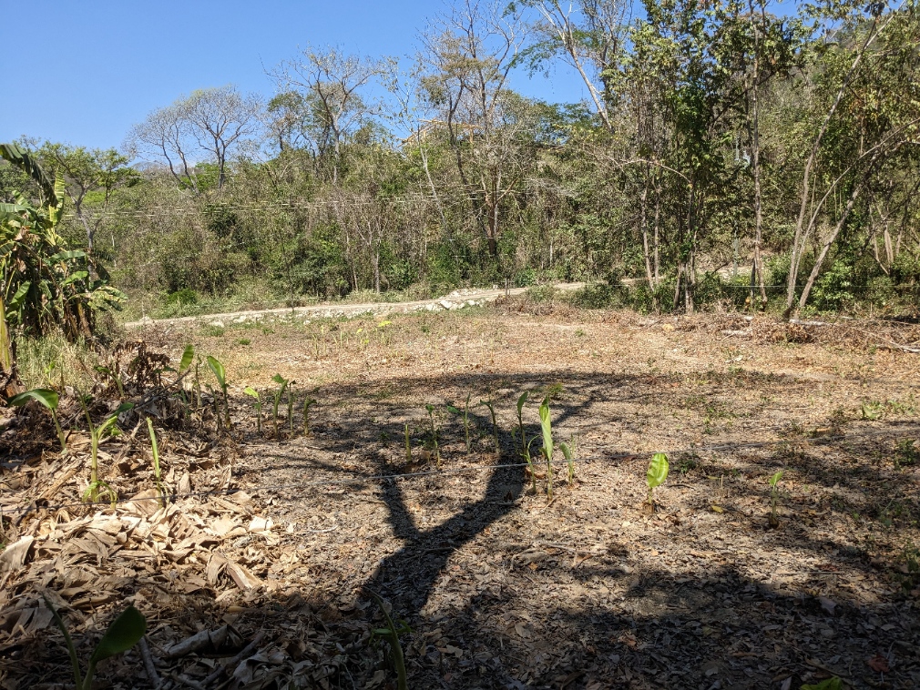 0 bed Land For Sale in Playa Organos, Puntarenas - thumb 3
