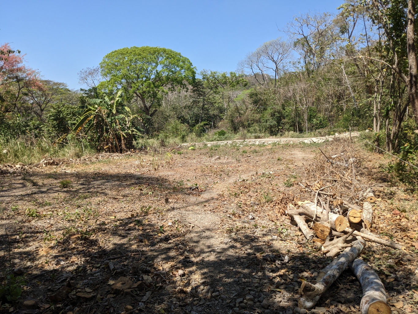 0 bed Land For Sale in Playa Organos, Puntarenas - thumb 1
