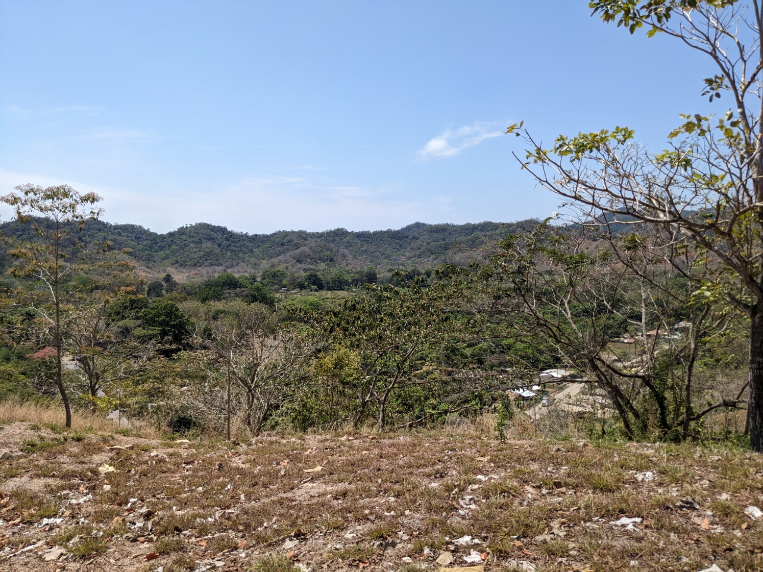 0 bed Land For Sale in Paquera, Puntarenas - thumb 23