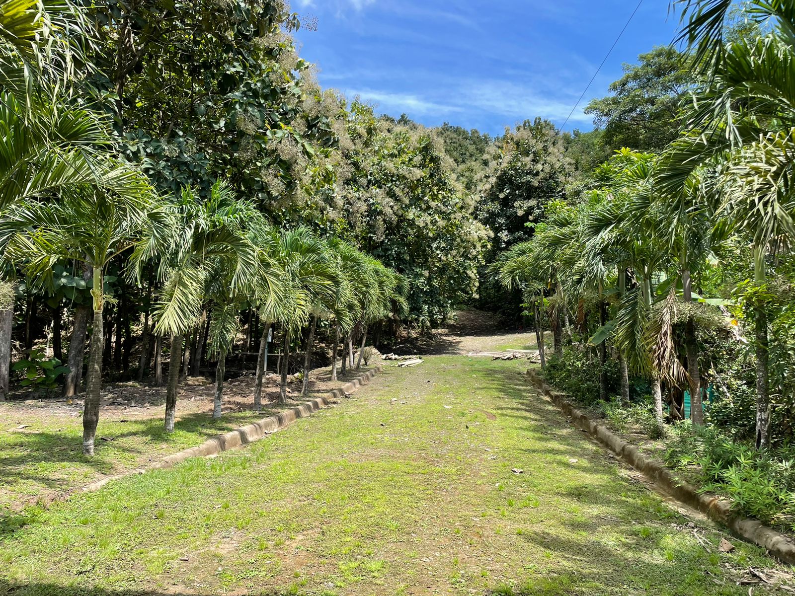 0 bed Land For Sale in Paquera, Puntarenas - thumb 30