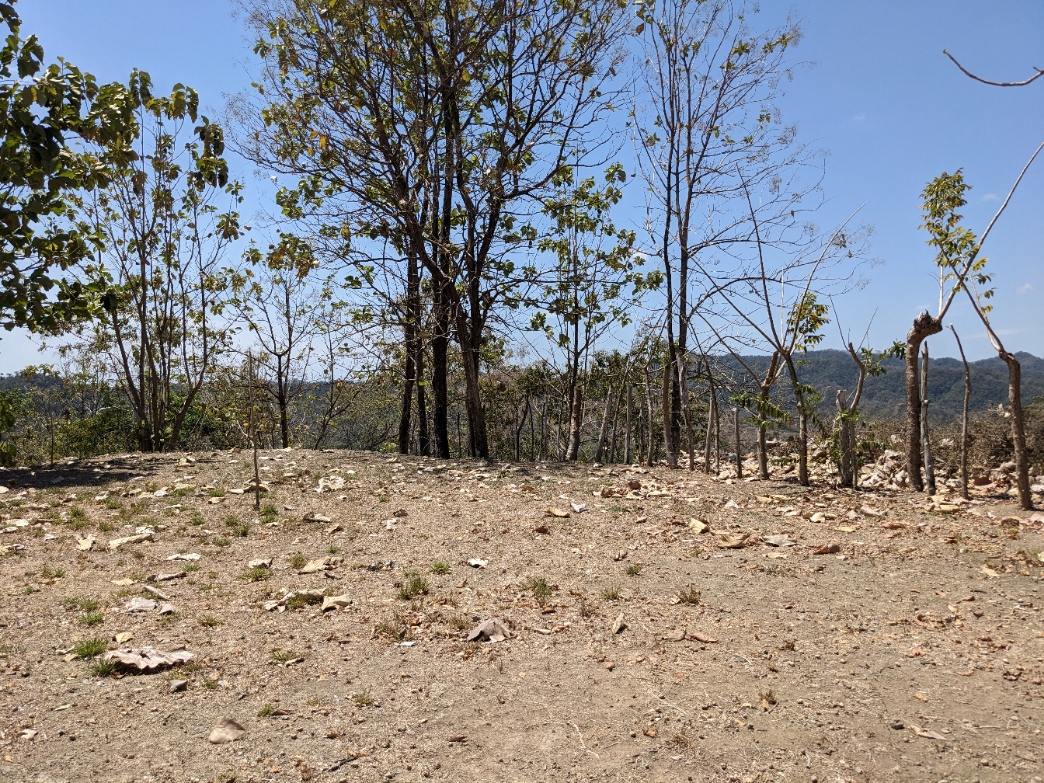 0 bed Land For Sale in Paquera, Puntarenas - thumb 8