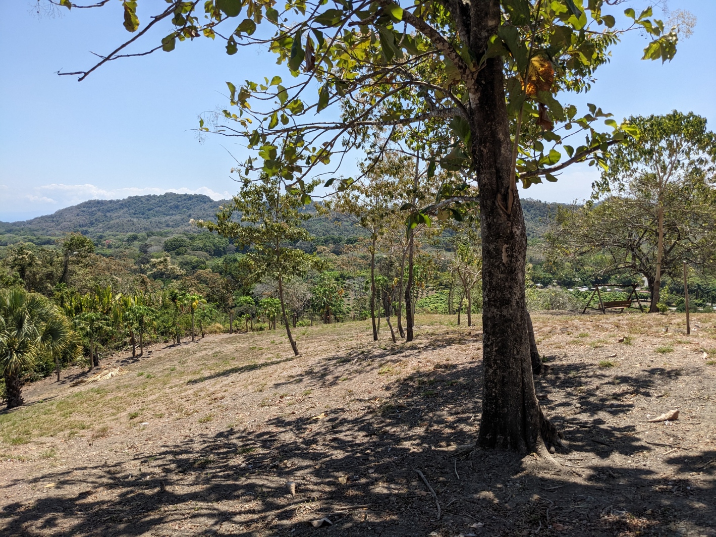 0 bed Land For Sale in Paquera, Puntarenas - thumb 20