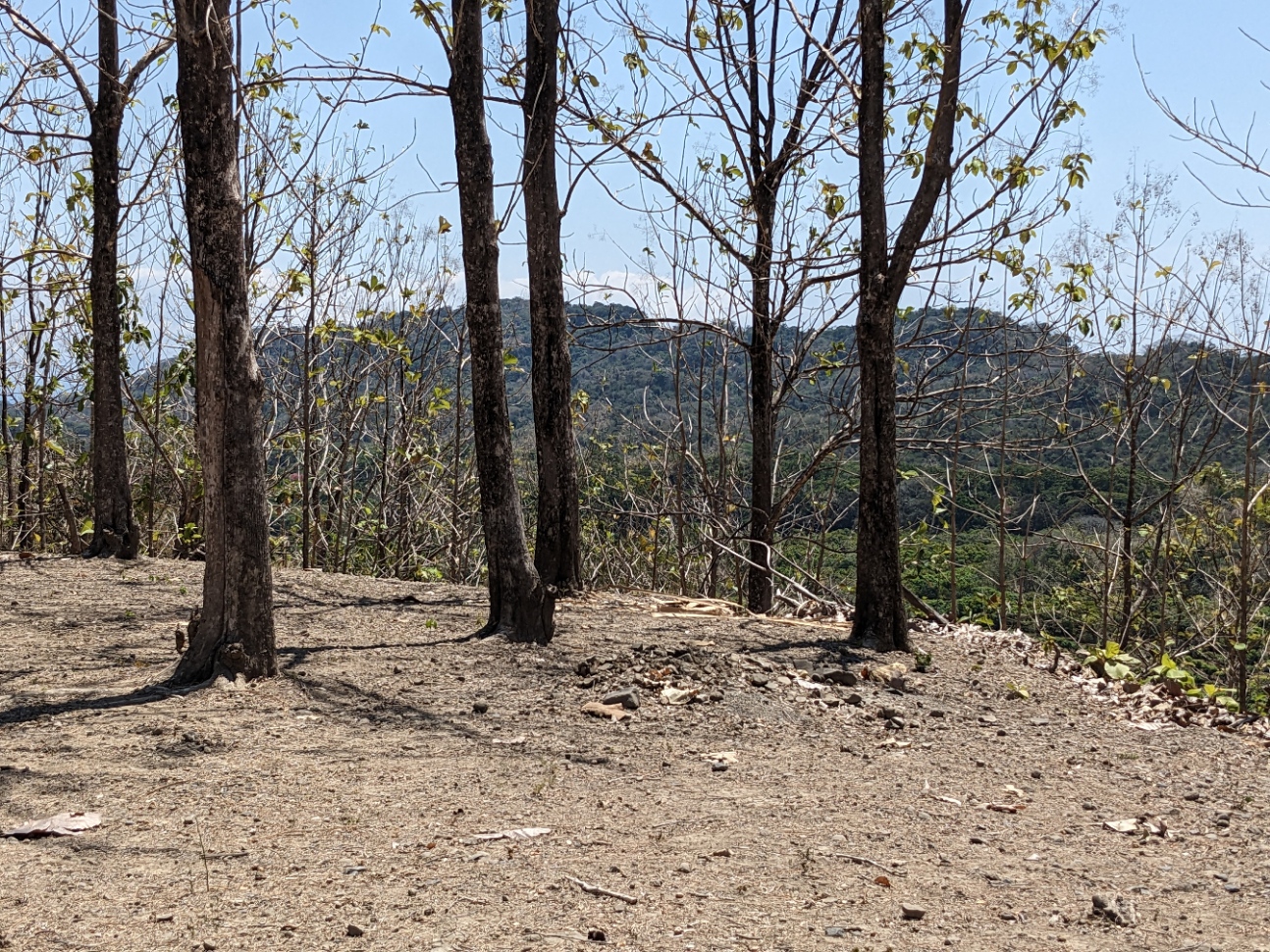 0 bed Land For Sale in Paquera, Puntarenas - thumb 10