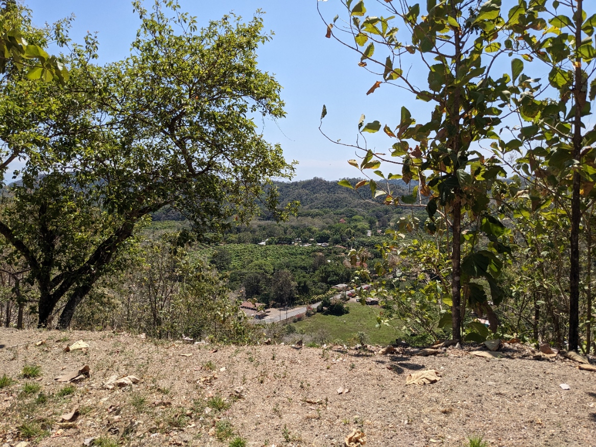 0 bed Land For Sale in Paquera, Puntarenas - thumb 4