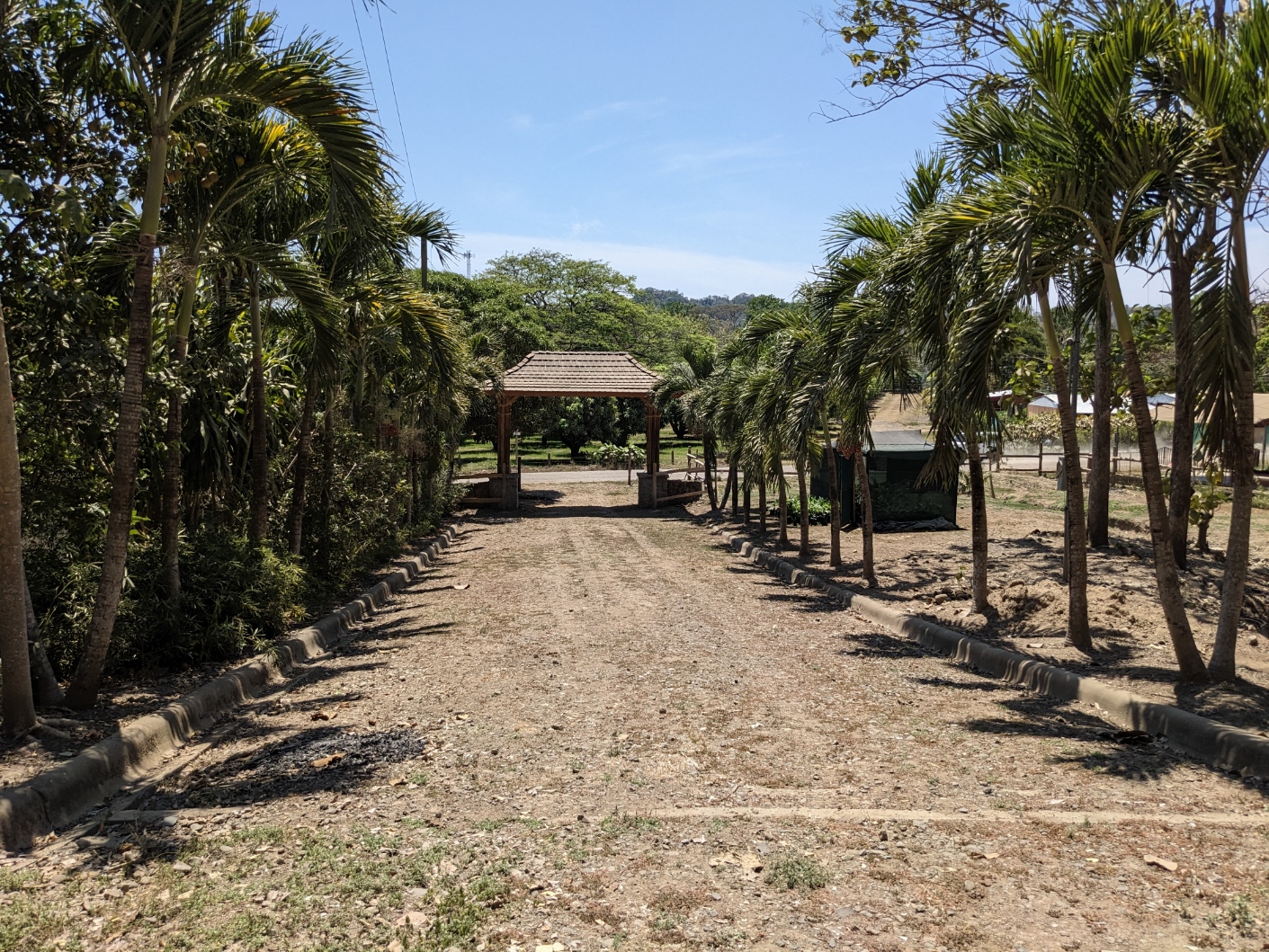 0 bed Land For Sale in Paquera, Puntarenas - thumb 28