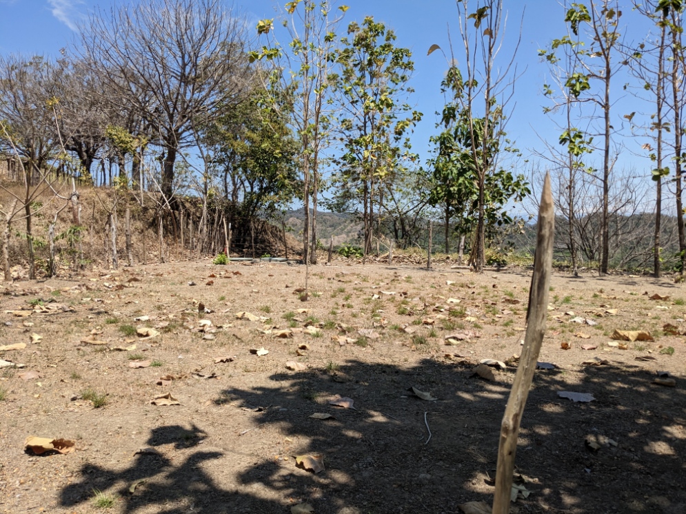 0 bed Land For Sale in Paquera, Puntarenas - thumb 5