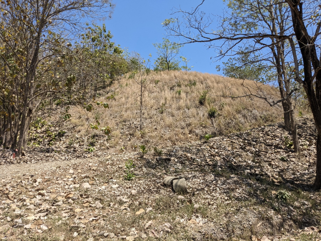 0 bed Land For Sale in Paquera, Puntarenas - thumb 26