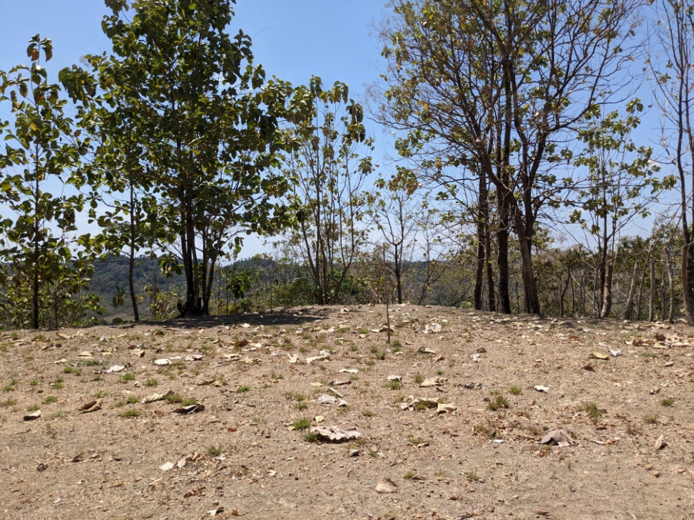 0 bed Land For Sale in Paquera, Puntarenas - thumb 7
