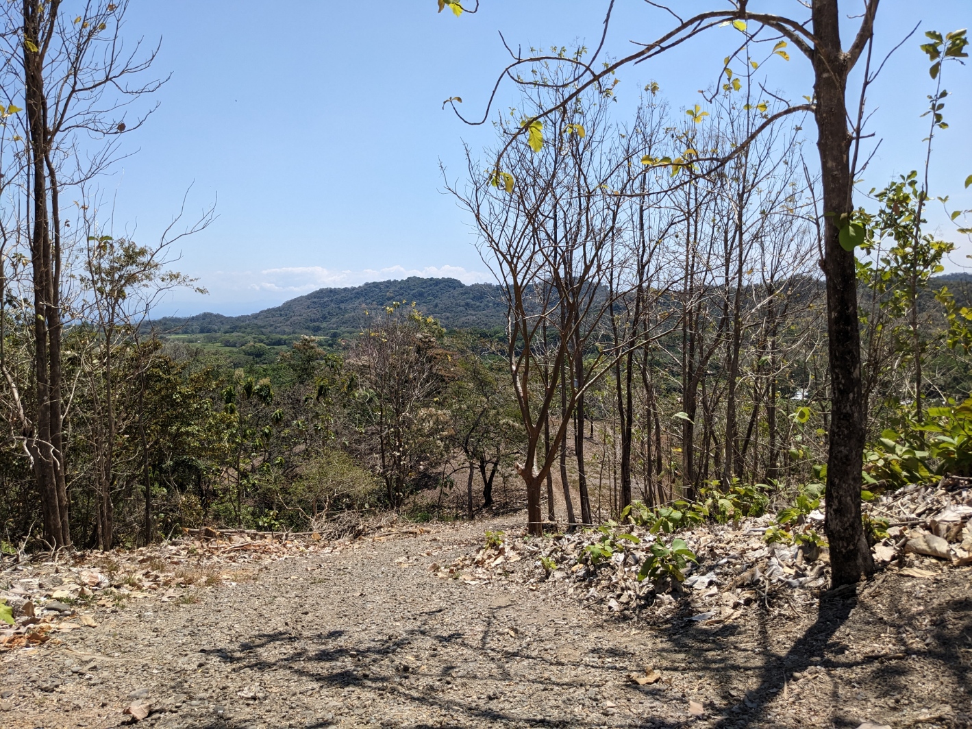 0 bed Land For Sale in Paquera, Puntarenas - thumb 15