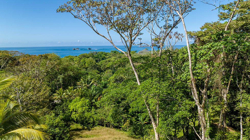 0 bed Land For Sale in Uvita, Puntarenas - thumb 11