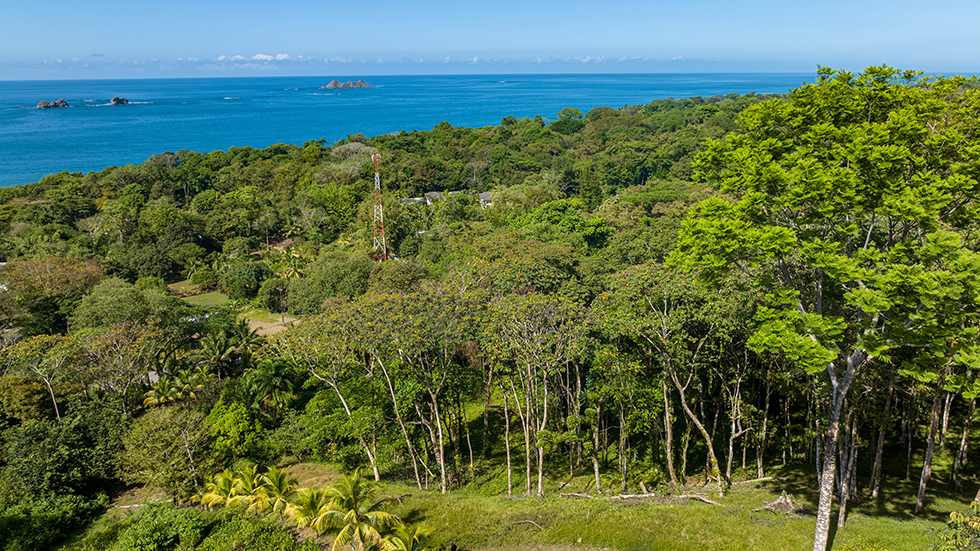 0 bed Land For Sale in Uvita, Puntarenas - thumb 5