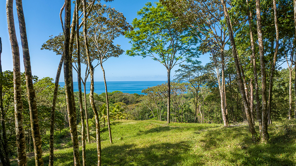 0 bed Land For Sale in Uvita, Puntarenas - thumb 2