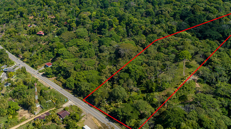 0 bed Land For Sale in Uvita, Puntarenas - thumb 12