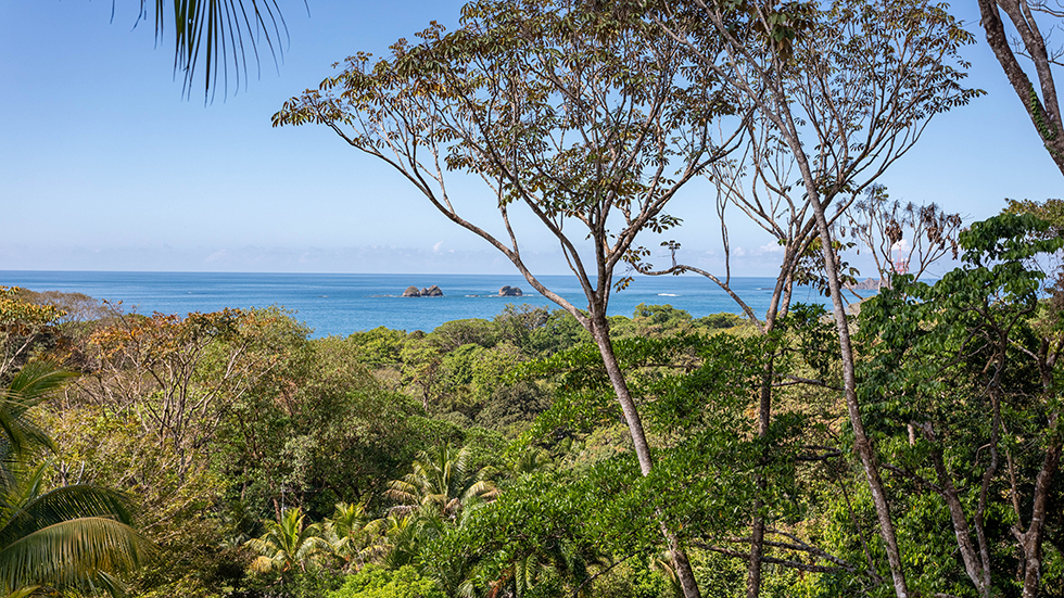 0 bed Land For Sale in Uvita, Puntarenas - thumb 4