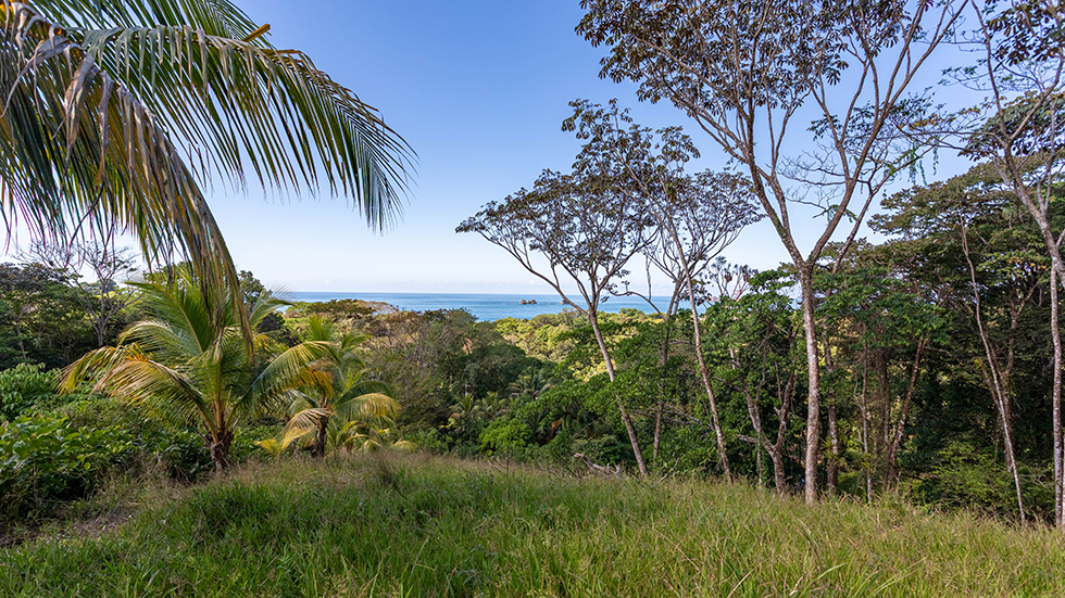 0 bed Land For Sale in Uvita, Puntarenas - thumb 24