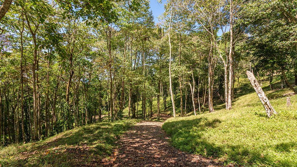 0 bed Land For Sale in Uvita, Puntarenas - thumb 14