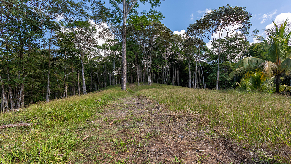 0 bed Land For Sale in Uvita, Puntarenas - thumb 20