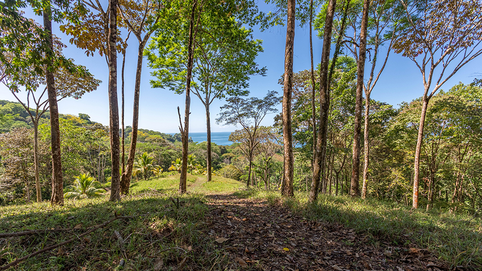 0 bed Land For Sale in Uvita, Puntarenas - thumb 27