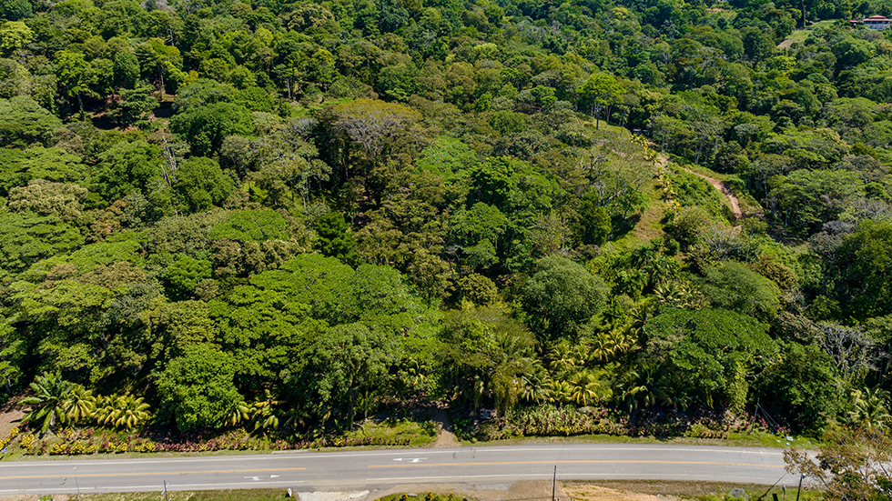 0 bed Land For Sale in Uvita, Puntarenas - thumb 6