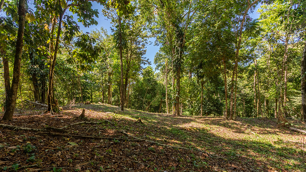 0 bed Land For Sale in Uvita, Puntarenas - thumb 29