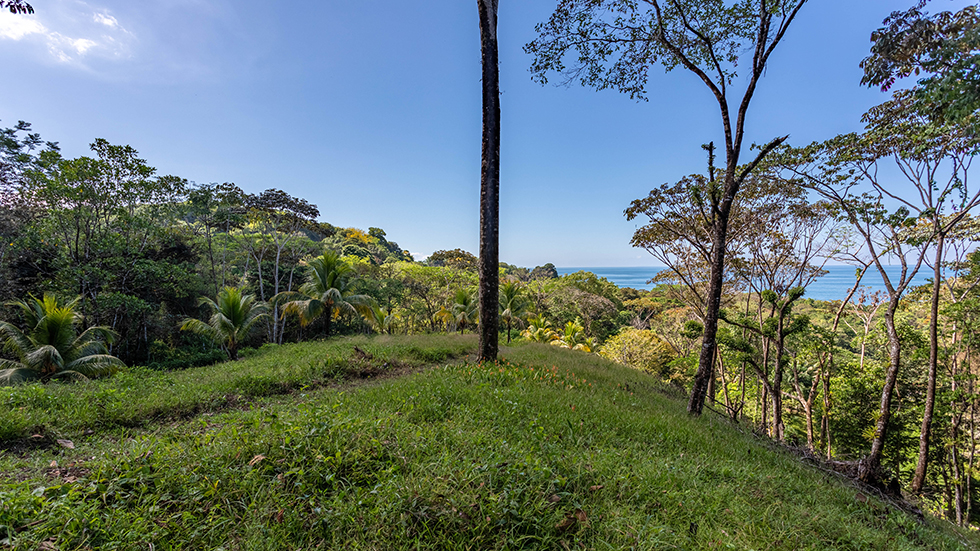 0 bed Land For Sale in Uvita, Puntarenas - thumb 25