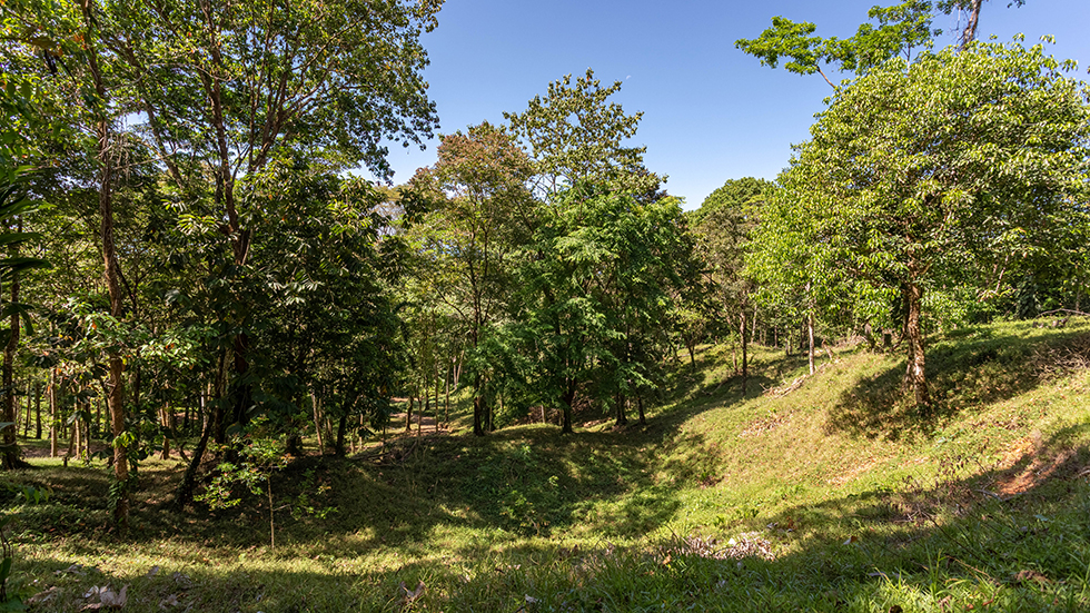 0 bed Land For Sale in Uvita, Puntarenas - thumb 23