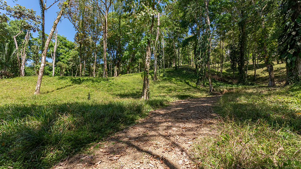 0 bed Land For Sale in Uvita, Puntarenas - thumb 17