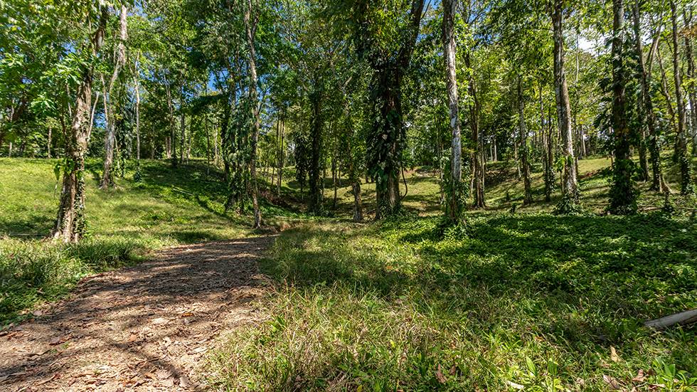 0 bed Land For Sale in Uvita, Puntarenas - thumb 16